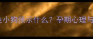 孕妇梦到棕色小狗预示什么孕期心理与宠物健康全