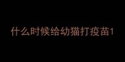 什么时候给幼猫打疫苗