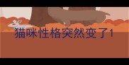 猫咪性格突然变了