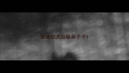 泰迪幼犬拉稀鼻子干