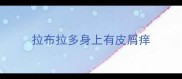 拉布拉多身上有皮屑痒