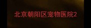 北京朝阳区宠物医院