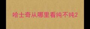 哈士奇从哪里看纯不纯