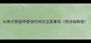 比熊犬剪指甲最佳时间及注意事项附详细教程