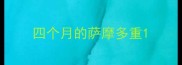 四个月的萨摩多重