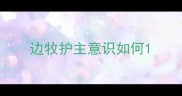 边牧护主意识如何