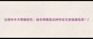 边境牧羊犬眼睛颜色绿色眼睛是品种特征还是健康隐患