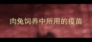 肉兔饲养中所用的疫苗