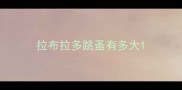 拉布拉多跳蚤有多大