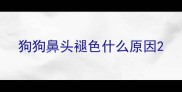 狗狗鼻头褪色什么原因
