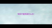 狗狗不睡狗窝怎么办