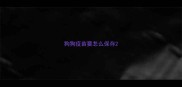 狗狗疫苗要怎么保存