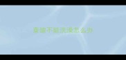 泰迪不能洗澡怎么办