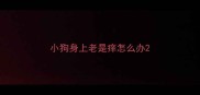 小狗身上老是痒怎么办