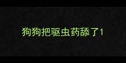 狗狗把驱虫药舔了