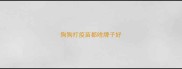 狗狗打疫苗都啥牌子好