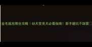金毛尴尬期全攻略幼犬变美犬必看指南新手避坑不踩雷