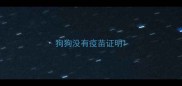 狗狗没有疫苗证明