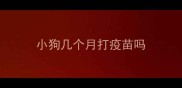 小狗几个月打疫苗吗
