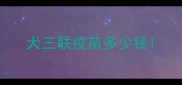 犬三联疫苗多少钱