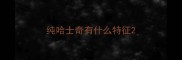 纯哈士奇有什么特征