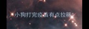 小狗打完疫苗有点拉稀