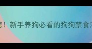 10种致命食物排行榜新手养狗必看的狗狗禁食清单附急救指南