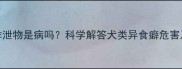 哈士奇吃排泄物是病吗科学解答犬类异食癖危害及防治指南