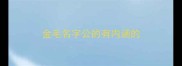 金毛名字公的有内涵的