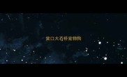 营口大石桥宠物狗
