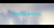 狗脑炎疫苗叫什么
