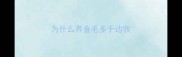 为什么养金毛多于边牧