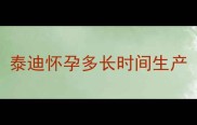 泰迪怀孕多长时间生产