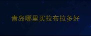 青岛哪里买拉布拉多好
