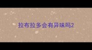 拉布拉多会有异味吗