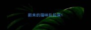 新来的猫咪乱拉屎