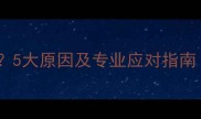 猫咪腹泻拉粘液5大原因及专业应对指南附预防措施