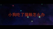 小狗吃了猫粮怎么办