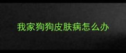 我家狗狗皮肤病怎么办