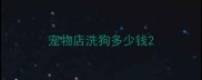 宠物店洗狗多少钱
