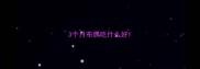 3个月布偶吃什么好