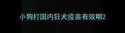 小狗打国内狂犬疫苗有效期