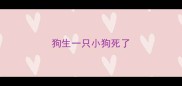 狗生一只小狗死了
