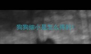 狗狗细小是怎么得的