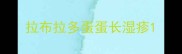 拉布拉多蛋蛋长湿疹