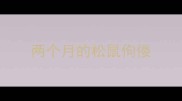 两个月的松鼠佝偻