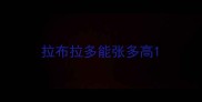 拉布拉多能张多高