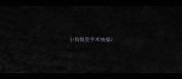 小狗做完手术抽搐