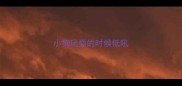 小狗玩耍的时候低吼