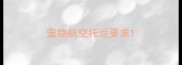 宠物航空托运要求